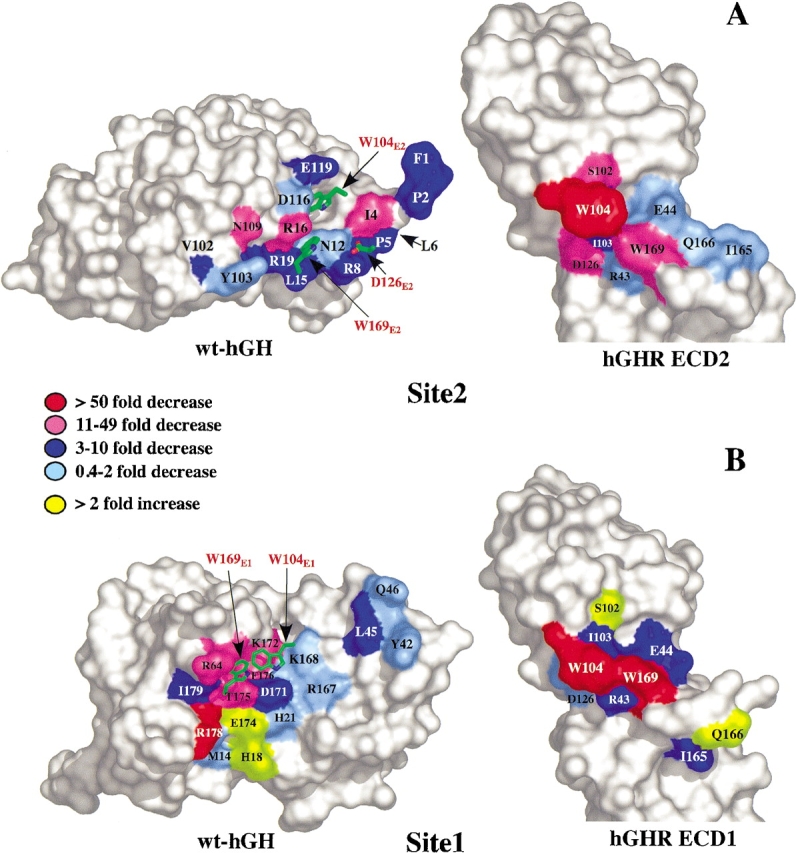 Figure 3.