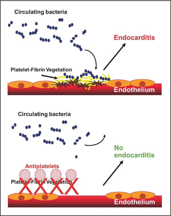 Graphical Abstract Figure.