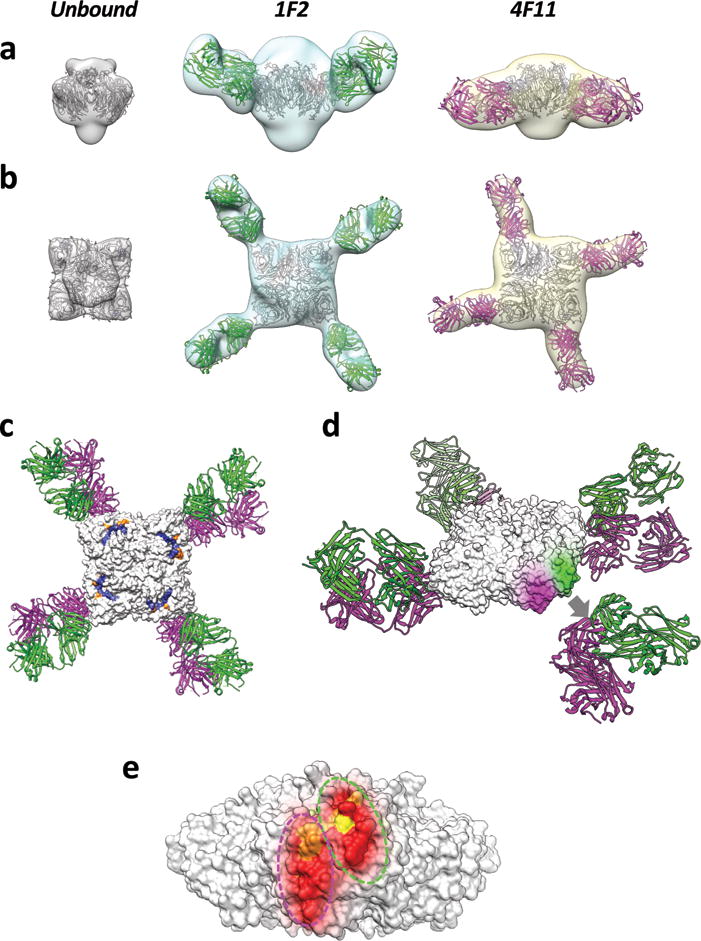 Fig. 2