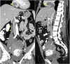 Fig. 4 – (