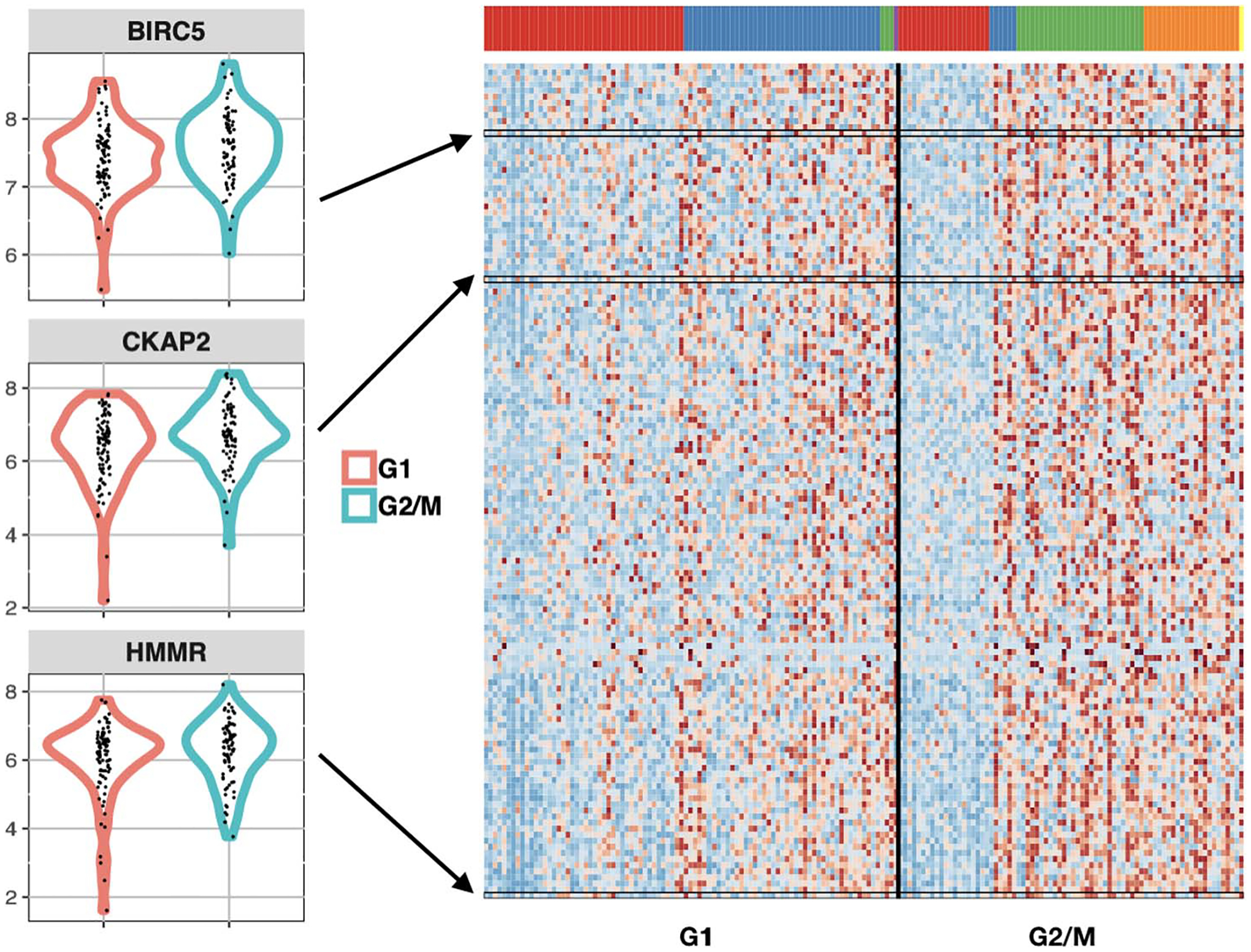 A compositional model to assess expression changes from single-cell RNA-seq data