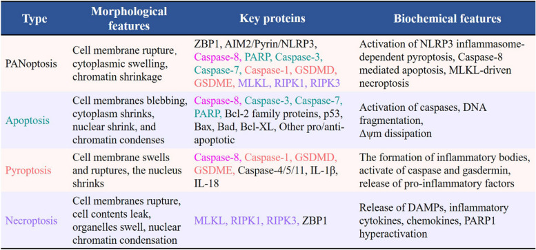 graphic file with name 13046_2024_3089_Tab1_HTML.jpg