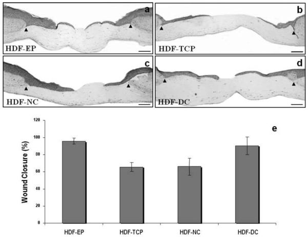 Fig. 24.3