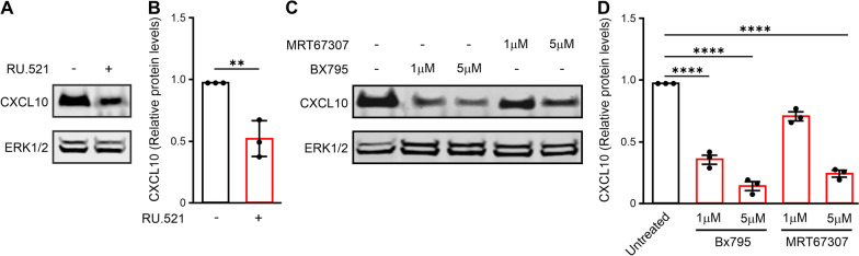 Fig. 5