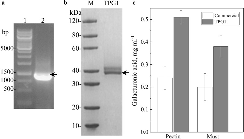 Fig. 6