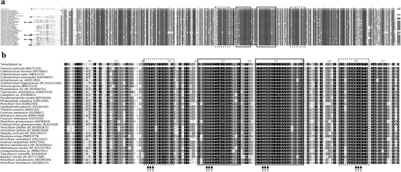 Fig. 4