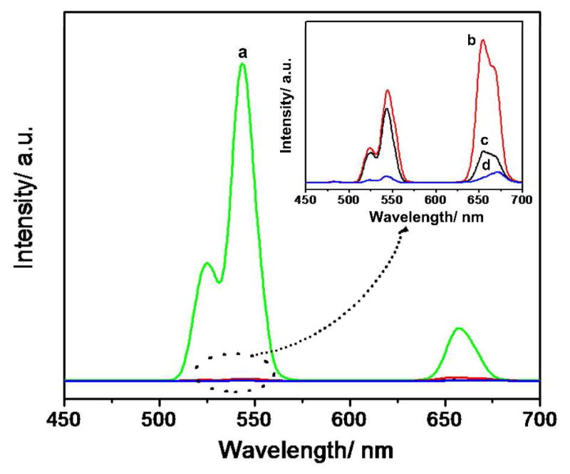 Figure 5