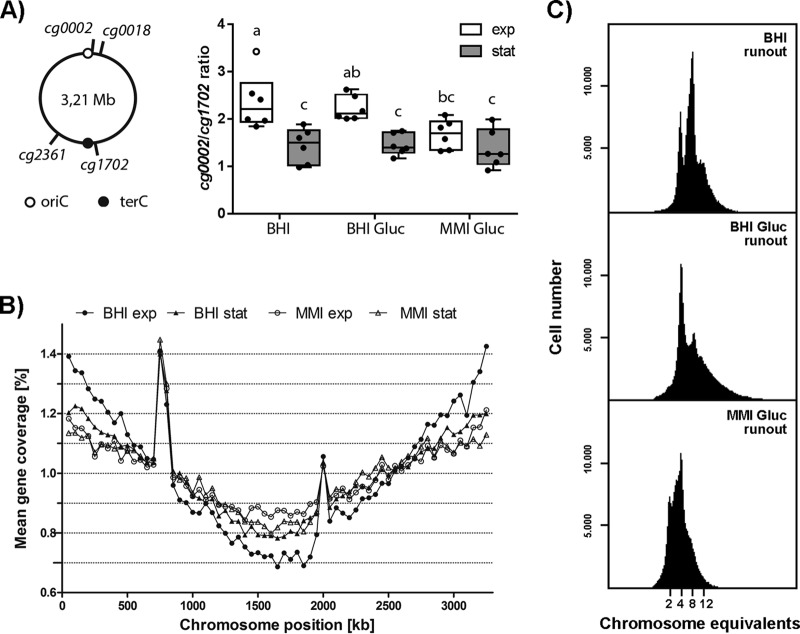 FIG 6 