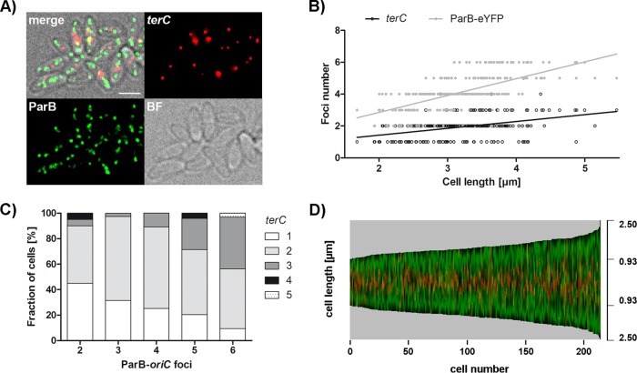 FIG 4 