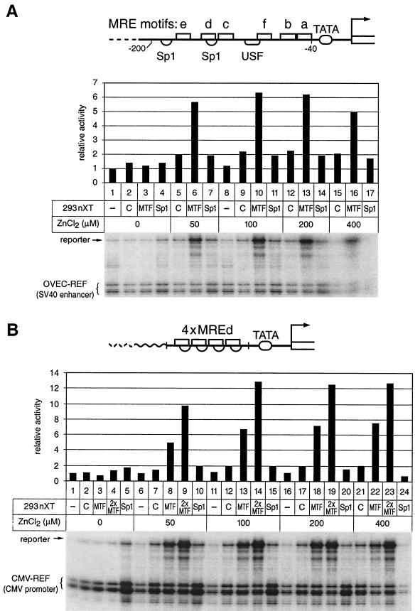 FIG.1.