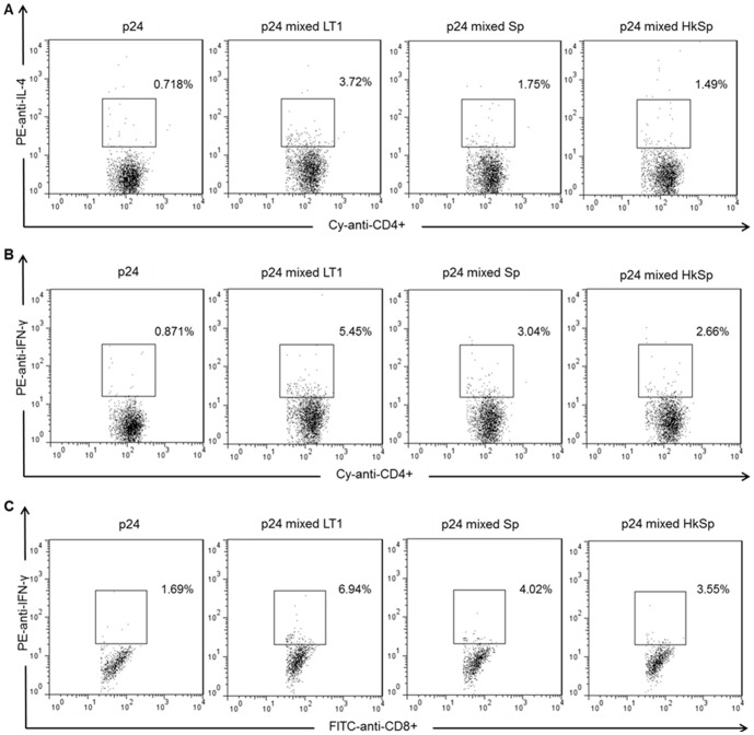 Figure 4