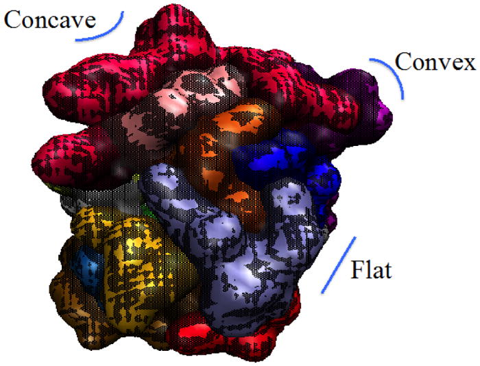 Fig. 2