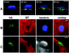 FIG. 4.