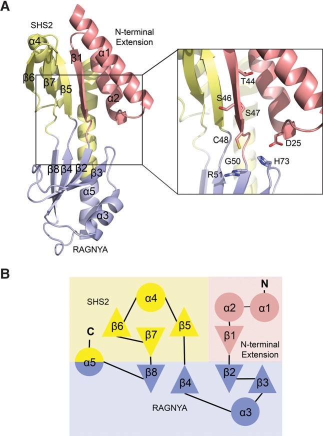 FIGURE 2.