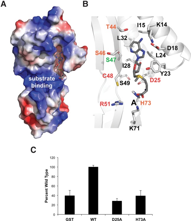 FIGURE 5.