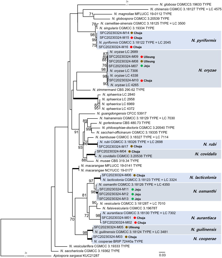 Figure 1.