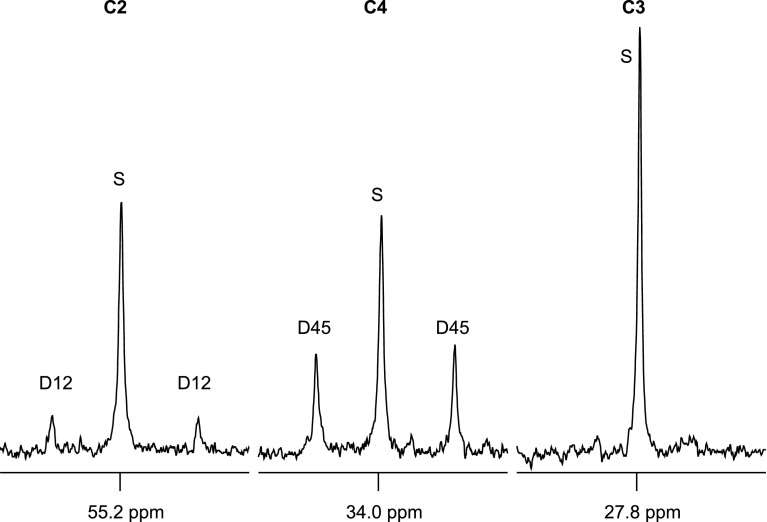 Fig. 5.