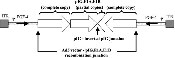 FIG. 6.