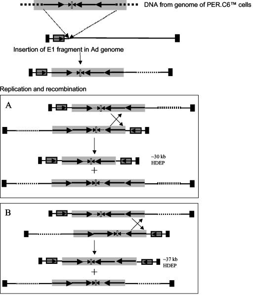 FIG. 8.