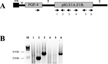 FIG. 5.