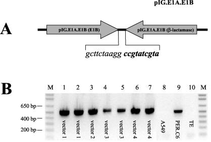 FIG. 7.