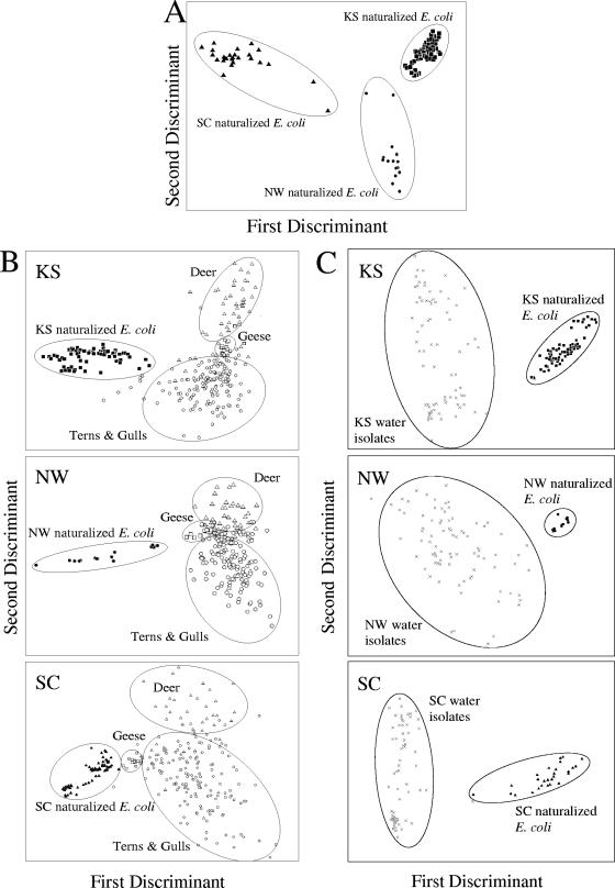 FIG. 5.