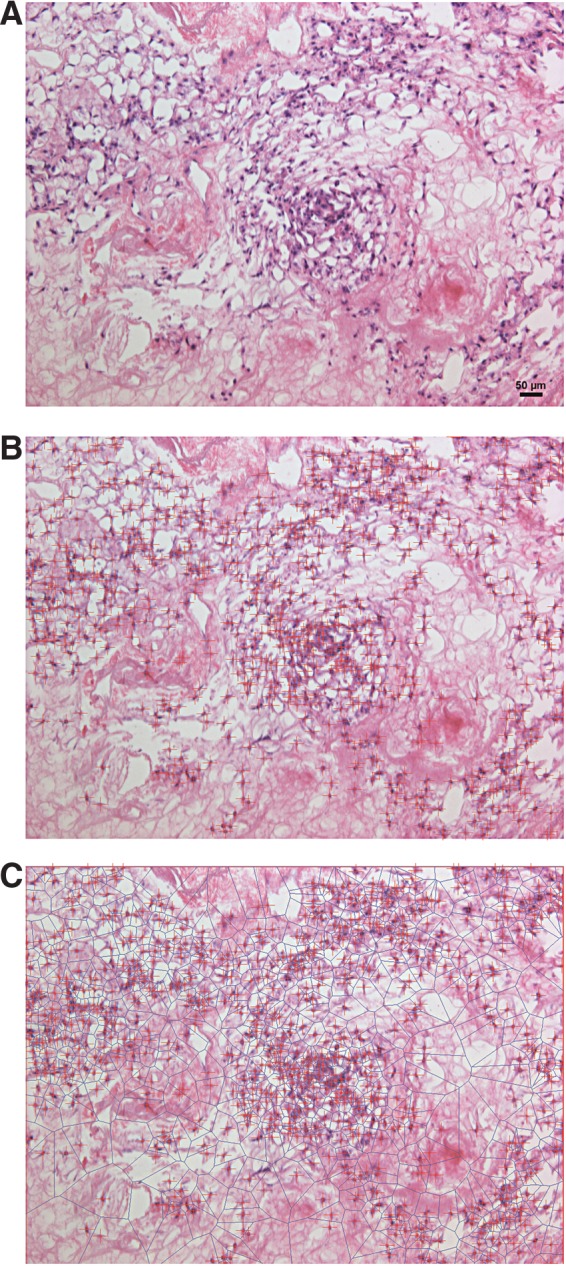 FIG. 4.