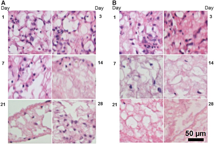 FIG. 5.