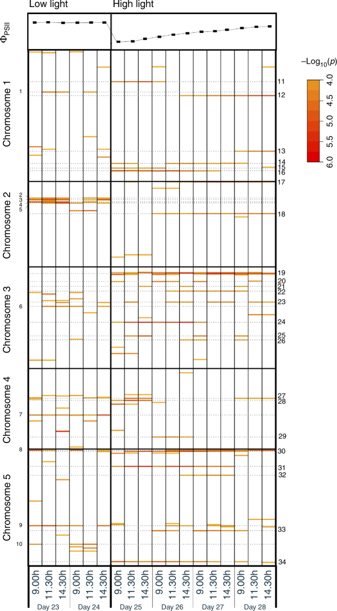 Fig. 2