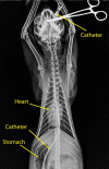 Fig 7