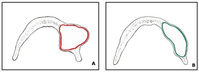 Fig. 8