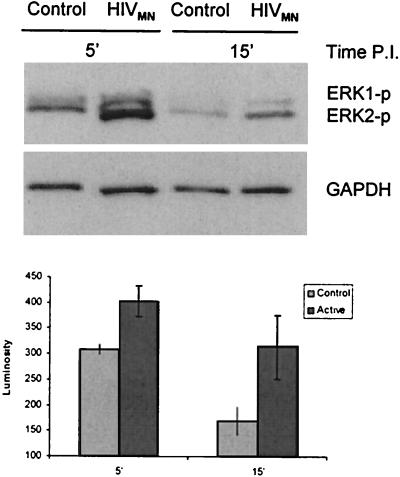 FIG. 9.