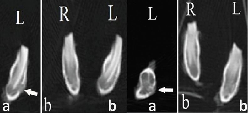 Fig. 5