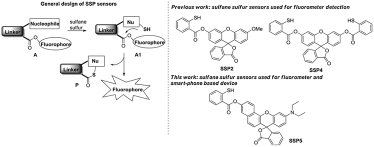 Scheme 1.