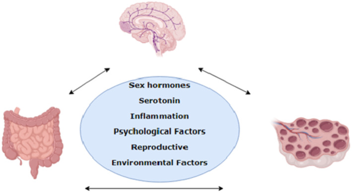 FIGURE 2