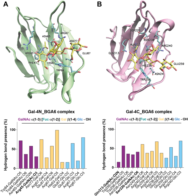 Figure 6