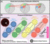 Figure 2,