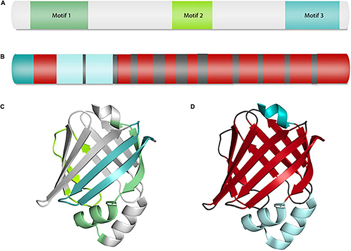 FIGURE 1