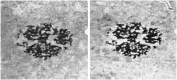 Figure 9.