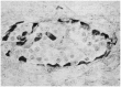 Figure 10.