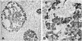 Figure 12.