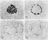 Figure 13.