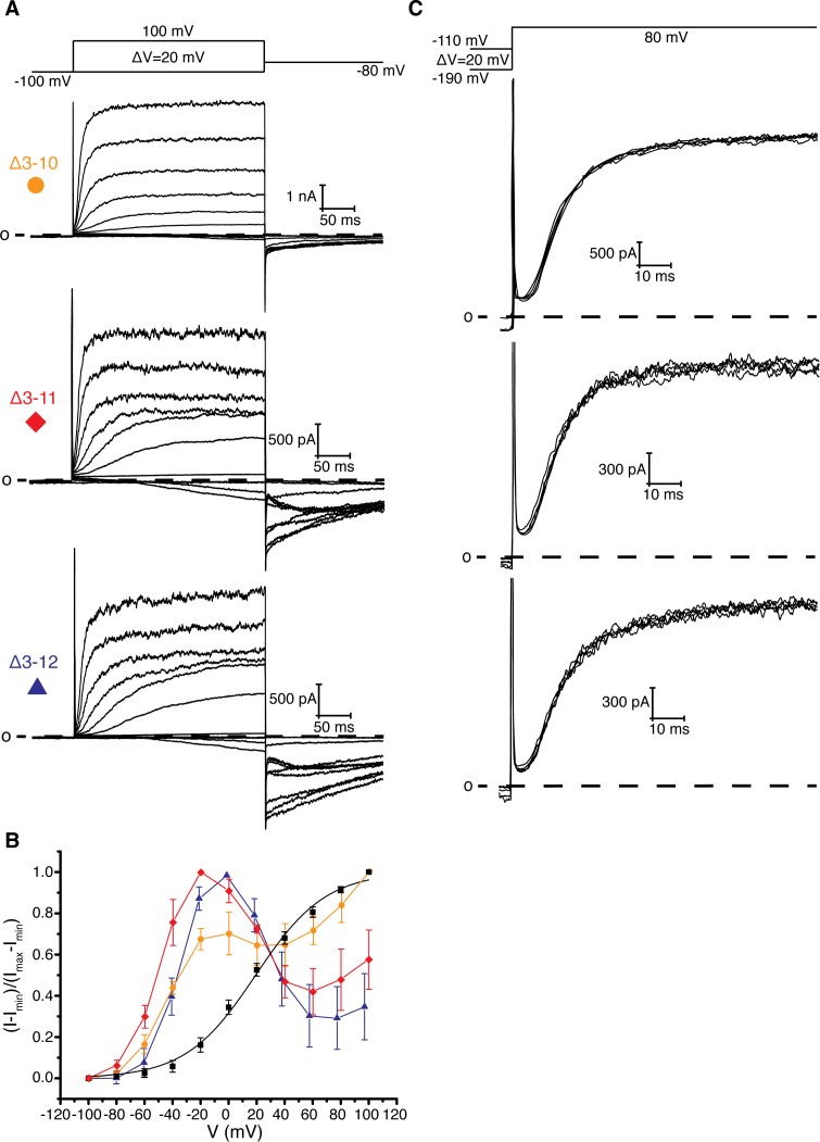 Figure 4—figure supplement 1.