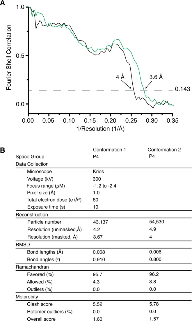 Figure 6—figure supplement 3.