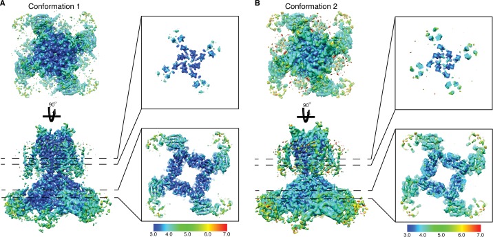 Figure 6—figure supplement 2.