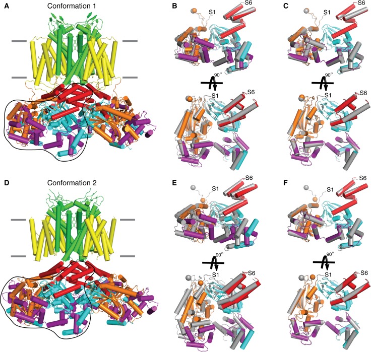 Figure 6—figure supplement 4.