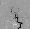 Fig 4