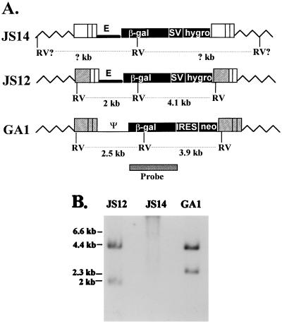 FIG. 3