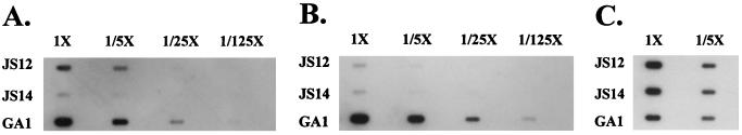FIG. 4