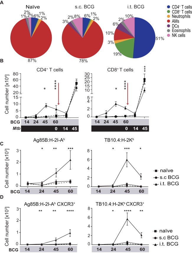 FIG 3 